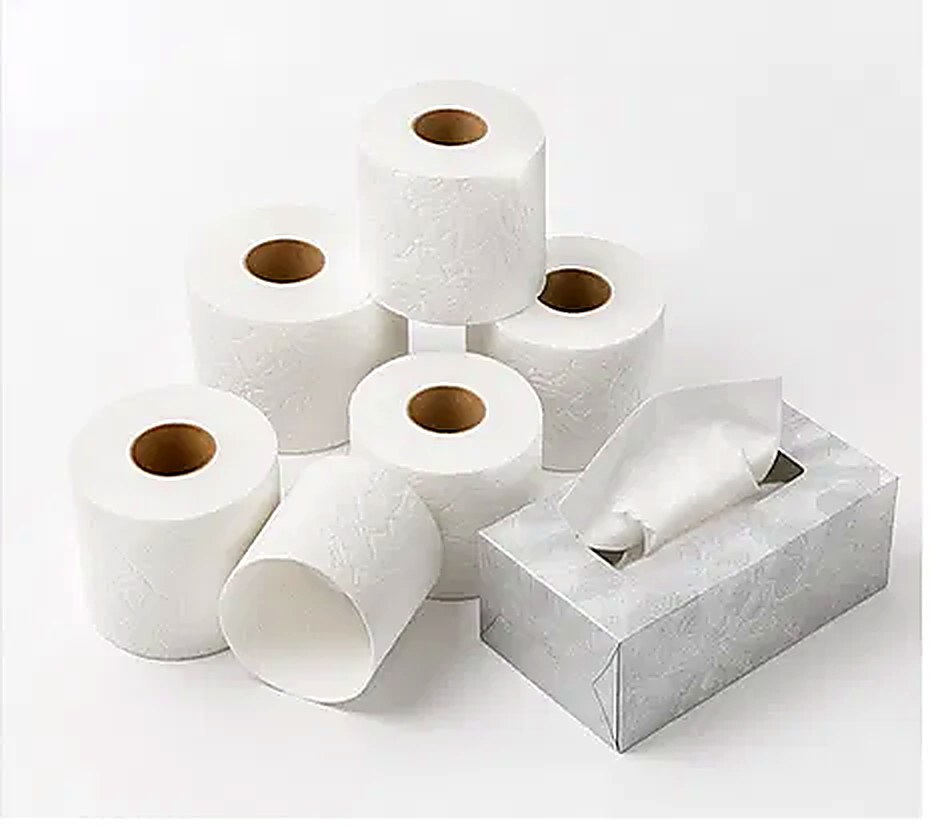 Toilet paper rolls and a tissue box